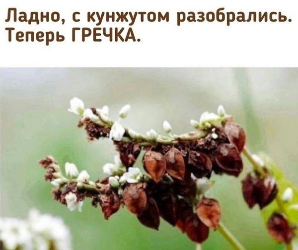 Te�ep� �� ��ae�e �ce! - 3
