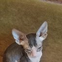 ���� �����, �����������-��-�����, 49 ��� - ��������� 14 ������ 2024