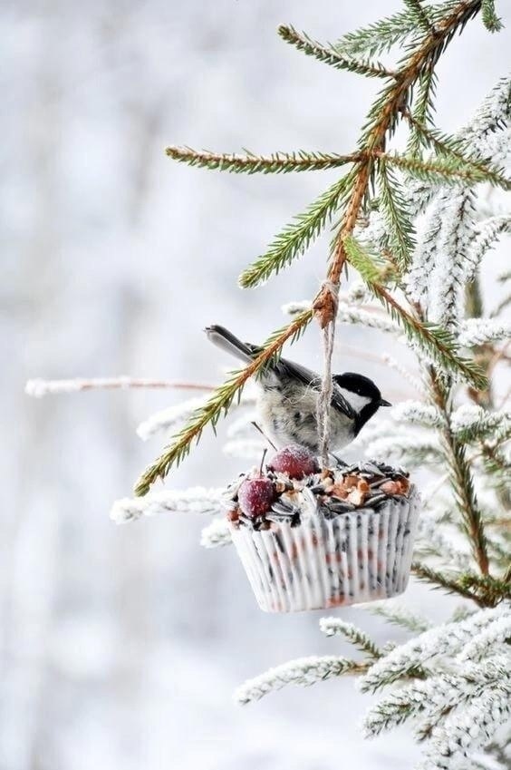      -. ,  ,    ,    ,   ...