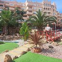 ���� ����, ���, 61 ��� - ��������� 18 ���� 2025 � ������ ���� ����������