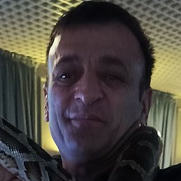 , , 51 