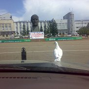 �����, 42 ����, ������