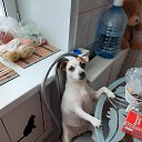���� ������, ���������, 50 ��� - ��������� 9 ������� 2024 � ������ ���� ����������