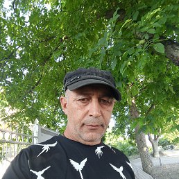, 54, 