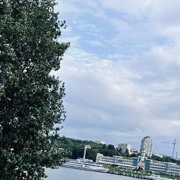 �����, 36 ���, ������