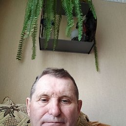 , 65 , 