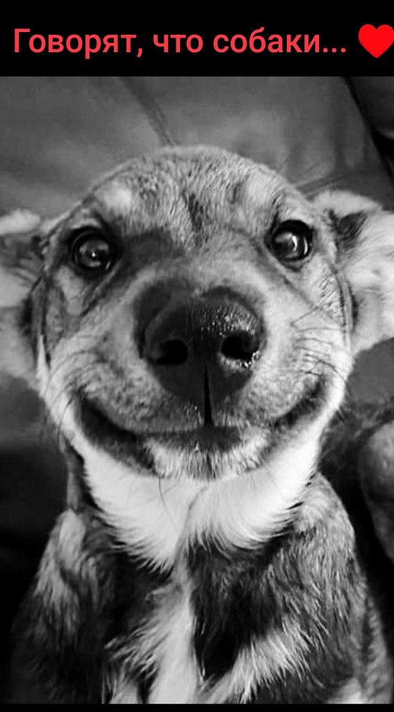 ... .,     ,  .         ...