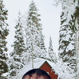 �����, �����-���������, 49 ���