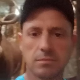 �������, ������, 42 ����