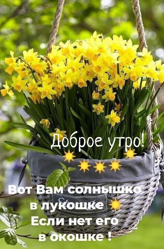 ОБО ВСЕМ - 21 июня 2025 в 12:27