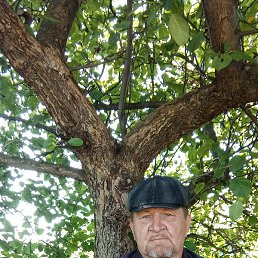 ����, ����, 66 ���