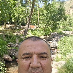 , 53, 