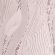 �������, 36 ���, �����������