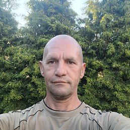 , 50, 