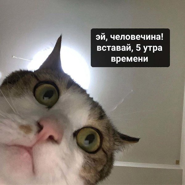 o. ׸o. .