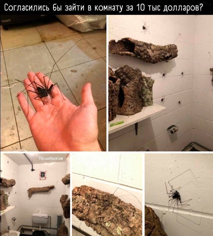 �� ����� ���������� � ���� ������� �� ����...