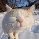 ���� �����, �������, 31 ��� - ��������� 9 ������� 2025