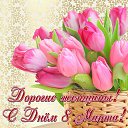 ���� ������, �����, 72 ���� - ��������� 8 ����� 2025 � ������ ������ ��������