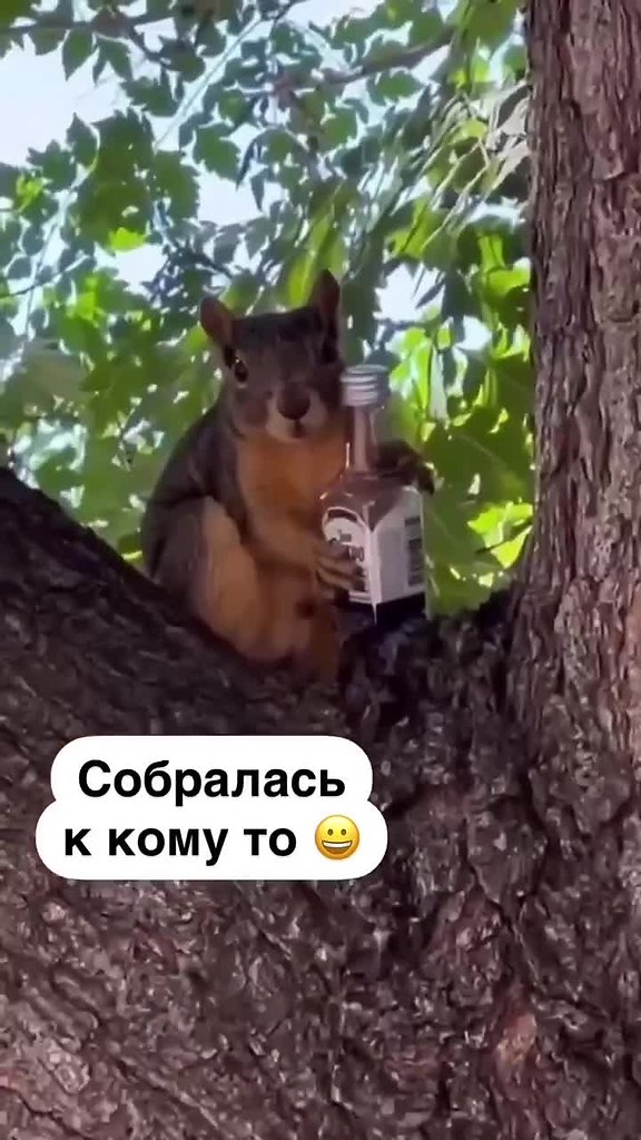 ��� � ������� ������...