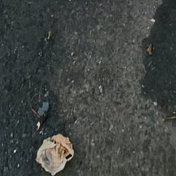 ��, �������, 38 ���