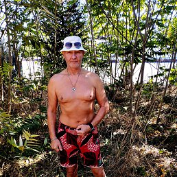 , 55, 