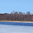 ���� �������, �����, 41 ��� - ��������� 13 ������� 2024