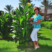 �������, 63 ����, ���������