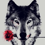 ����, 48 ���, ������������