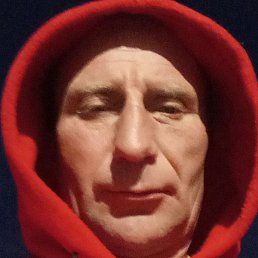 ��������, ������, 41 ���