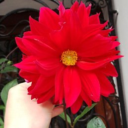 ���� �������, ������, 46 ��� - ��������� 7 ����� 2026