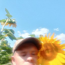 ������ �������, ������������, 26 ���