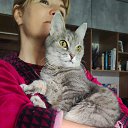 ���� ������!, �����������, 52 ���� - ��������� 5 ������ 2026 � ������ �2025�