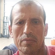 �������, 49 ���, ������