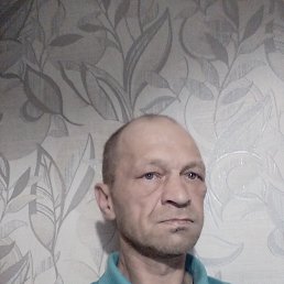 , 46, 