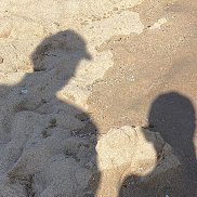 ����, 40 ���, �����-���������