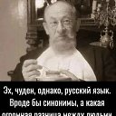 ���� �����, ���� - ��������� 26 ��� 2026 � ������ ���� ����������