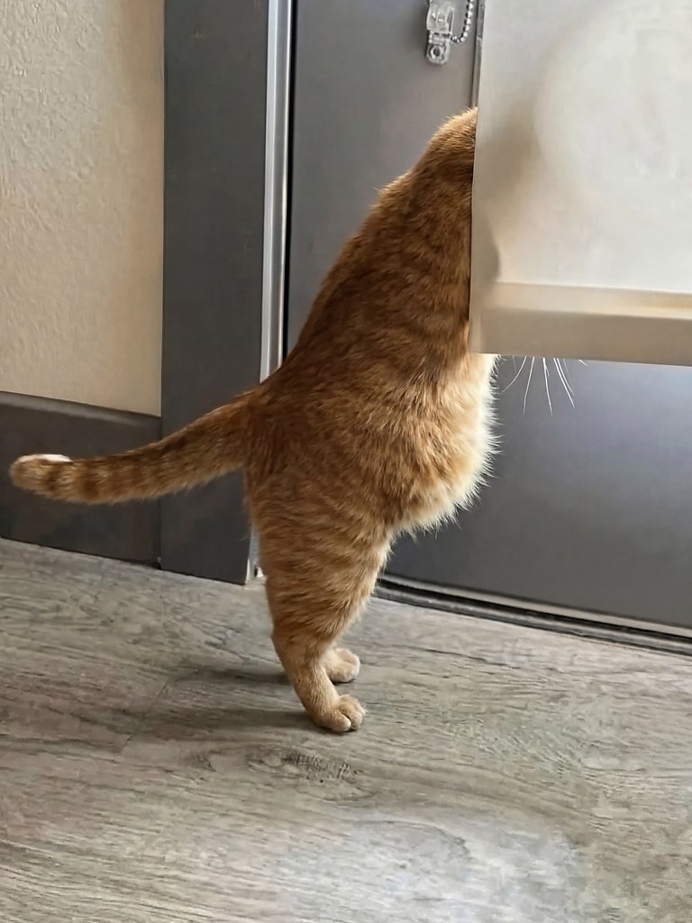 �����