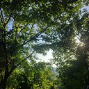 ���� �����, �����-���������, 51 ��� - ��������� 9 ������ 2024 � ������ ��������� ����������
