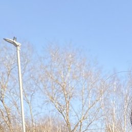 ����, ������, 40 ���