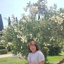 ���� �������, �����������, 54 ���� - ��������� 14 ������� 2025 � ������ ���� ����������