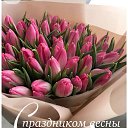 ���� �����, ������, 51 ��� - ��������� 7 ����� 2026 � ������ ������ ��������