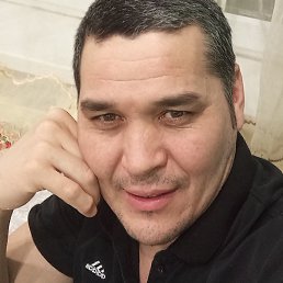 ����, �����-���������, 38 ���