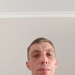 , 44 , 