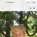 ���� �������, ����, 68 ��� - ��������� 3 ������� 2026 � ������ ���� ����������