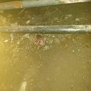 ���� �������, ������, 47 ��� - ��������� 14 ������ 2025 � ������ ���� ����������