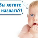  , , 41  -  11  2024    