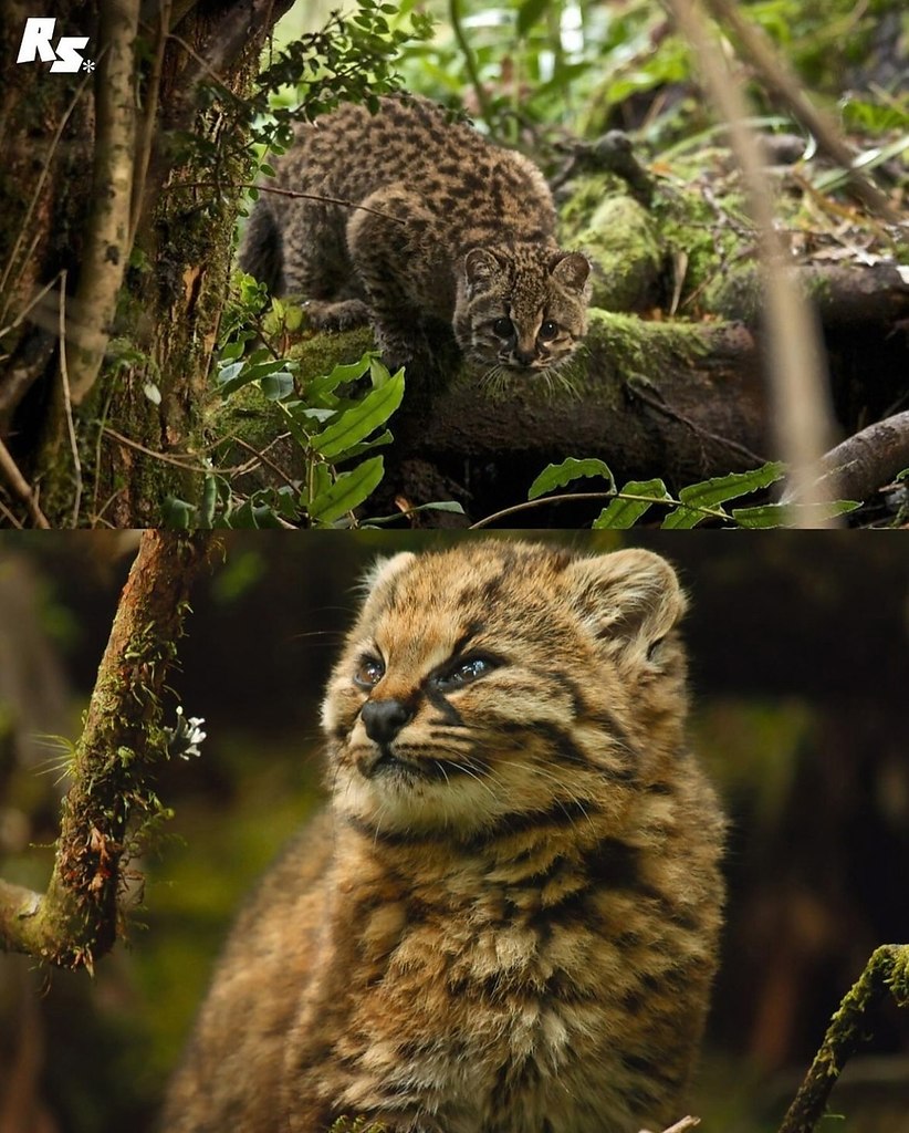   -      .  23 ,  -  50 .     ... - 4