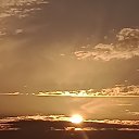 ���� ������, �����, 55 ��� - ��������� 1 ���� 2024 � ������ ������