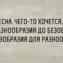 ���� ˸��, ���������, 39 ��� - ��������� 6 ������ 2024 � ������ ���� ����������