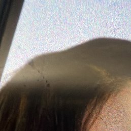 �����, �����, 44 ����